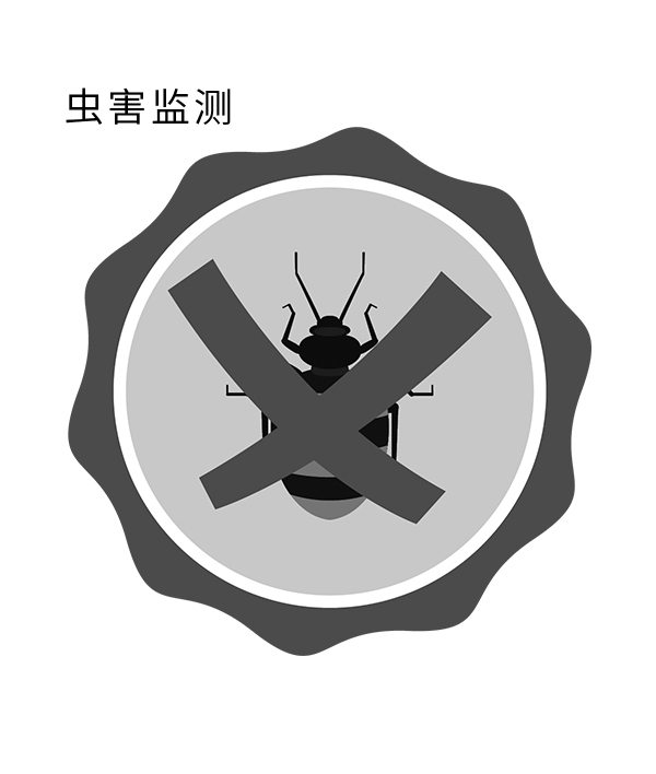 无线粮食虫害监测系统