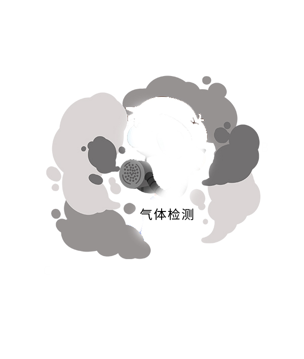 固体式气体检测仪